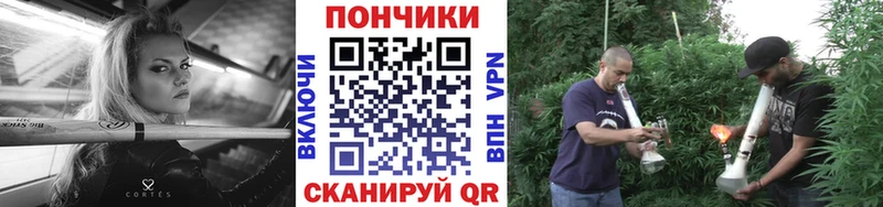 Псилоцибиновые грибы Елизово