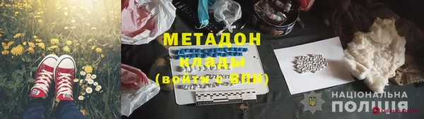 дмт Алзамай