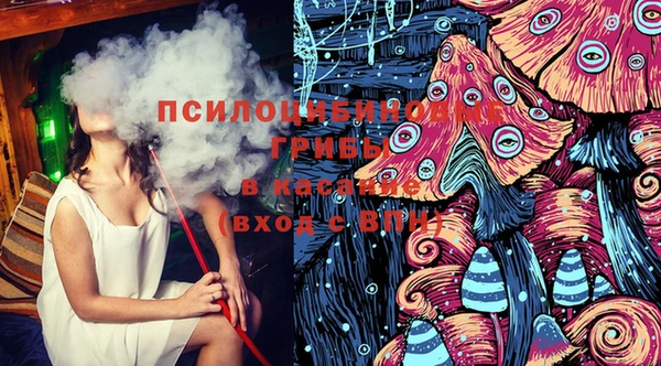 хмурый Алексеевка