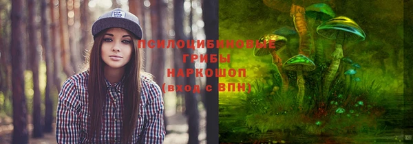 дмт Алзамай