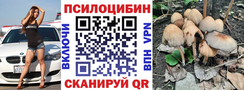 Галлюциногенные грибы Psilocybe  Купить где  Елизово 