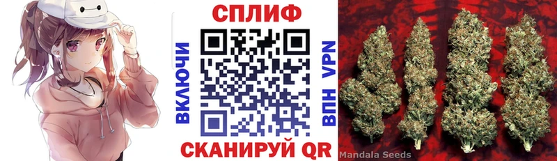 Конопля OG Kush  Купить закладки  Елизово 